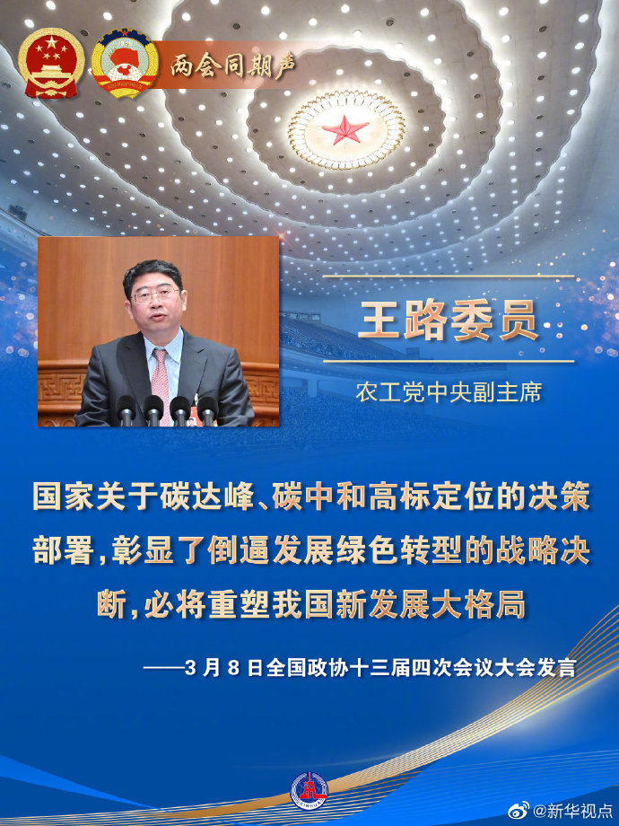 王路委员代表农工党中央发言.jpg