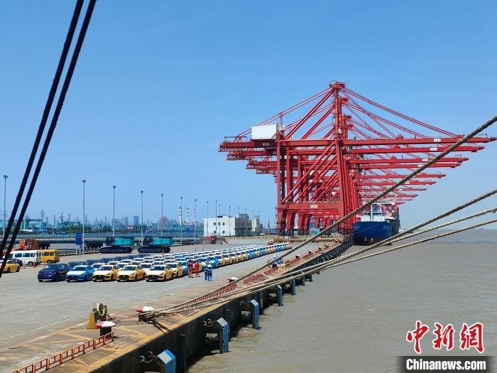 资料图：国产新能源车在上海外高桥港区海通码头“整装待发”。浦帆 摄