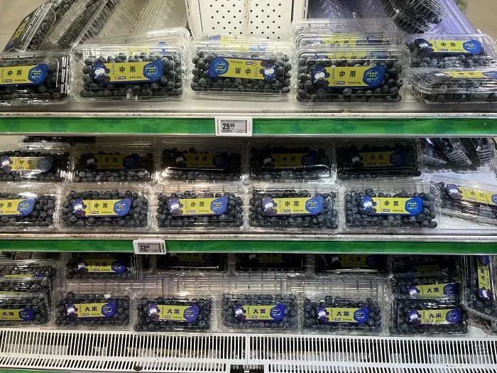 蓝莓每盒售价跌至个位数，但这门生意仍处在“暴利时代”