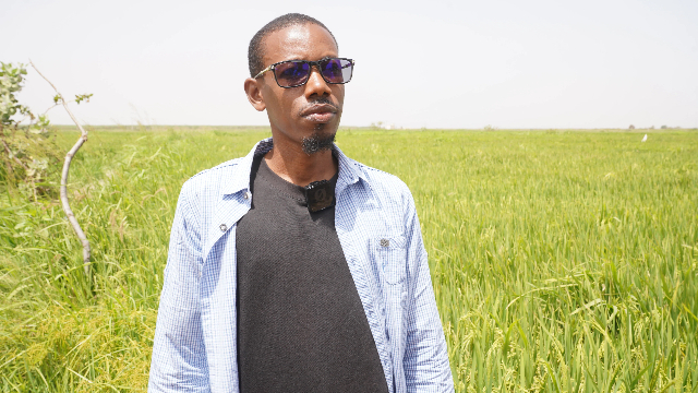 站在ISRIZ-12稻田前的塔希鲁 （受访者提供）